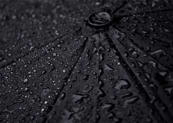 داش آکل و مرجان- عزی لطفی