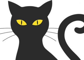 «گربه درحجله خانه» داستانی از نادر قضاوتی