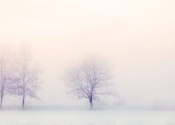 پیام فصل، از سیروس بینا