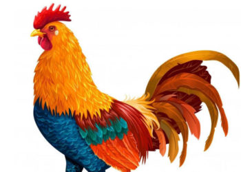 ” ق” ممنوع از مجموعه داستان های مشترک خروس در کارگاه هزار اوسان