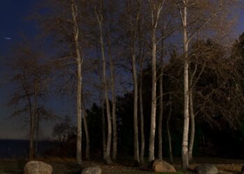 اسپیدان – داستانی از خانم روشنا کشاورز