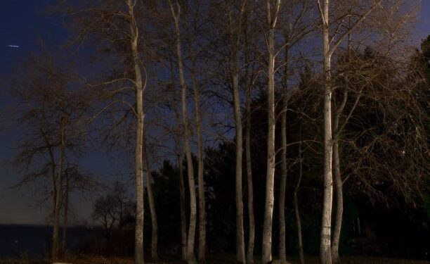 اسپیدان – داستانی از خانم روشنا کشاورز